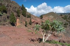 La Gomera 2008_02-0011