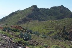 La Gomera 2008_02-0014