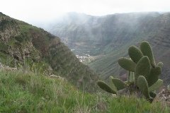 La Gomera 2008_02-0029