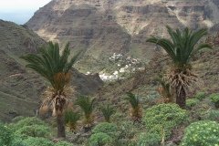 La Gomera 2008_02-0031