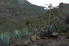 La Gomera 2008_02-0032