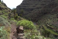 La Gomera 2008_02-0036