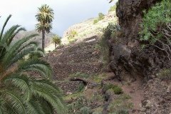 La Gomera 2008_02-0037