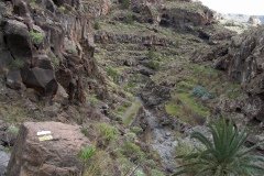 La Gomera 2008_02-0038