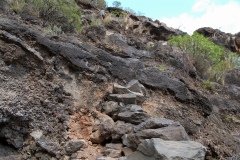 La Gomera 2008_02-0040