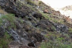 La Gomera 2008_02-0041