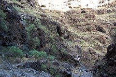 La Gomera 2008_02-0042