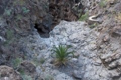 La Gomera 2008_02-0043