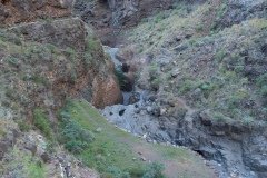 La Gomera 2008_02-0044