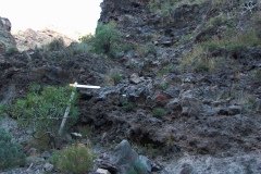 La Gomera 2008_02-0045