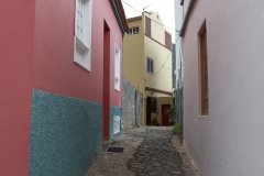 La Gomera 2008_02-0055
