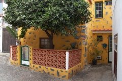 La Gomera 2008_02-0057