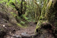 La Gomera 2008_02-0069