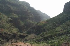 La Gomera 2008_02-0083