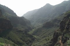 La Gomera 2008_02-0085