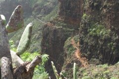 La Gomera 2008_02-0087