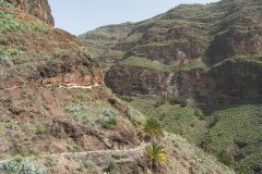 La Gomera 2008_02-0090