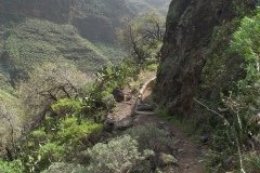 La Gomera 2008_02-0091