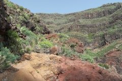 La Gomera 2008_02-0093