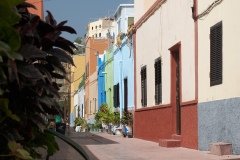 La Gomera 2008_02-0122