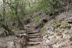 La Gomera 2008_02-0149