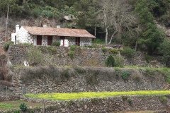 La Gomera 2008_02-0152