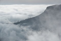 La Gomera 2008_02-0167