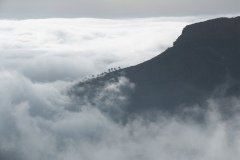 La Gomera 2008_02-0168