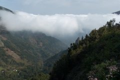La Gomera 2008_02-0175