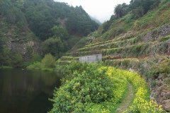 La Gomera 2008_02-0179