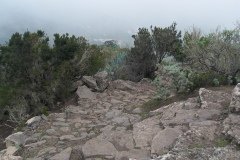 La Gomera 2008_02-0186