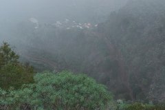La Gomera 2008_02-0187