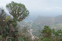 La Gomera 2008_02-0189