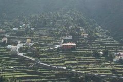 La Gomera 2008_02-0196