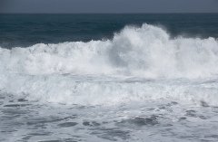 La Gomera 2008_02-0199