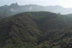 La Gomera 2008_02-0208
