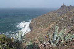 La Gomera 2008_02-0210