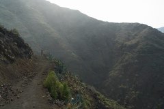 La Gomera 2008_02-0211