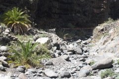 La Gomera 2008_02-0216
