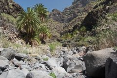 La Gomera 2008_02-0217