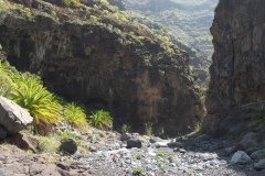 La Gomera 2008_02-0218