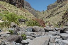 La Gomera 2008_02-0219