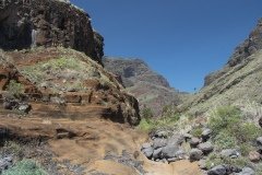 La Gomera 2008_02-0220