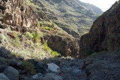 La Gomera 2008_02-0221