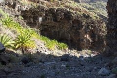 La Gomera 2008_02-0222