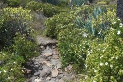 La-Gomera-2009_04-012