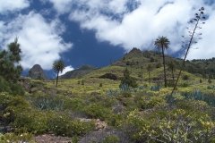 La-Gomera-2009_04-013