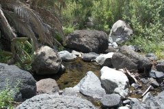 La-Gomera-2009_04-014