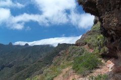 La-Gomera-2009_04-047