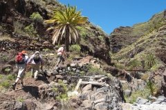 La-Gomera-2009_04-051